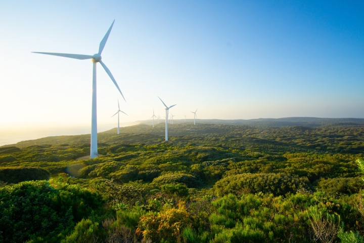 Wind turbines stretching across a green coastal Australian landscape at sunrise, representing the country's renewable energy transition.