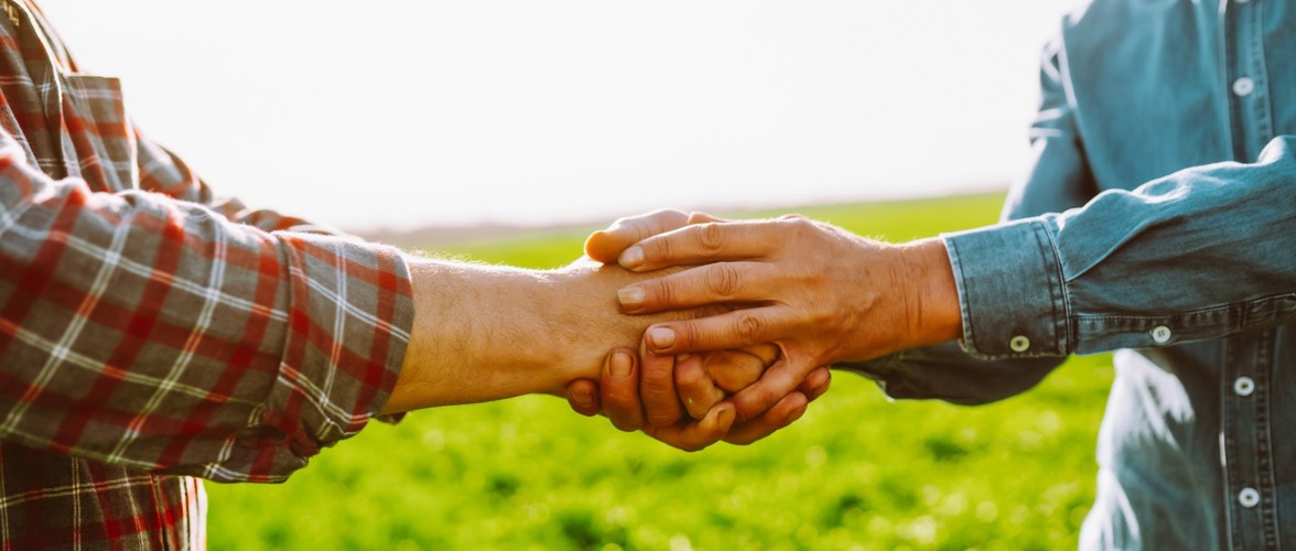 Der Ökolandbau in Deutschland: Zwischen wachsendem Markt und strukturellen Grenzen