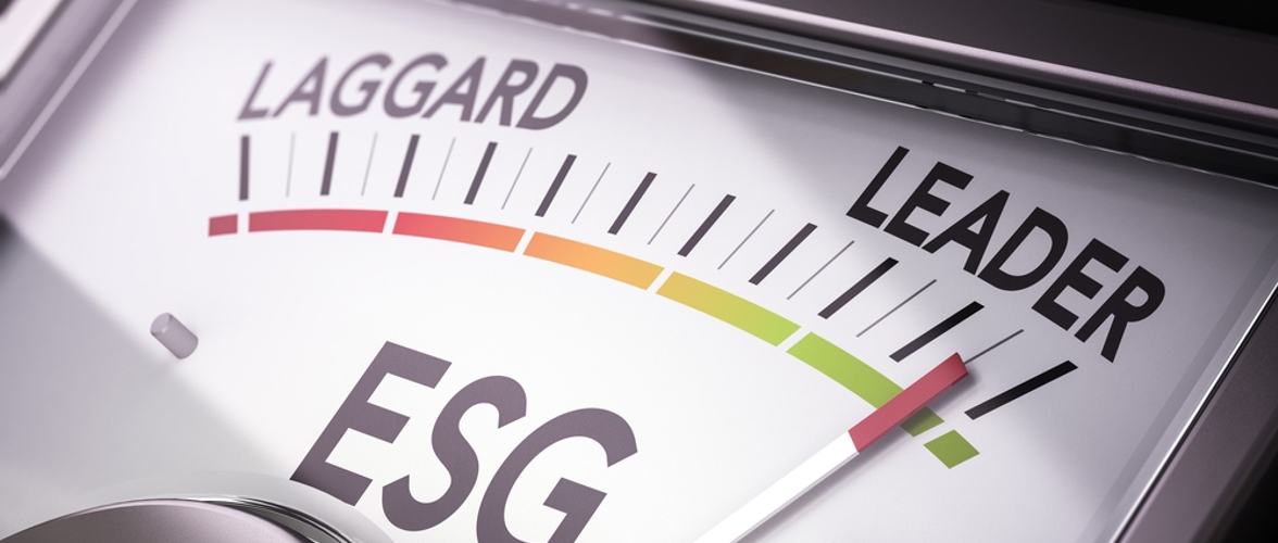 ESG Scores: What They Measure and Why They Matter