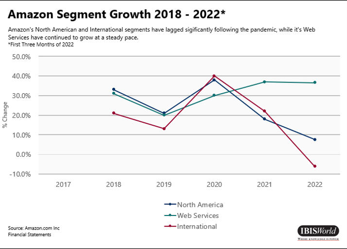 Amazon Segmenti Büyümesi 2018- 2022*